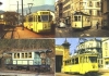 SF_cp019  ANAT