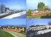 SF_cp029  TB