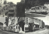 SF_cp036  TL