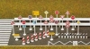 Panneaux de signalistation