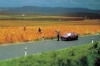 Tapis de route de campagne
