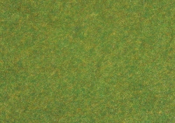Flocage vert fonc&amp;amp;amp;amp;amp;amp;amp;amp;eacute;