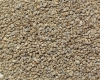 Gravier "PREMIUM" beige