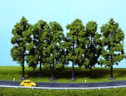 Assortiment d'arbres