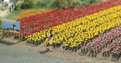 Asortiment de 120 tulipes