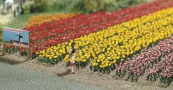Asortiment de 120 tulipes - 1206