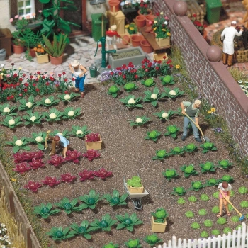 Assortiment de choux et salades - 1213
