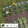 Légumes et laitues