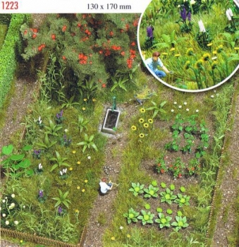 Jardin potager - 1223