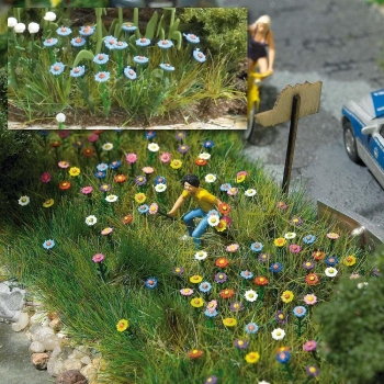 Fleurs d'été - 1229