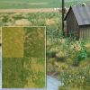 Kit de decoration "Herbes"