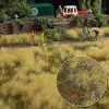 Herbe de prairie, 2 couleurs