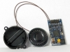 Décodeur sonorisé DCC, connecteur PluX 16