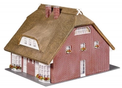 Maison à toit de roseaux
