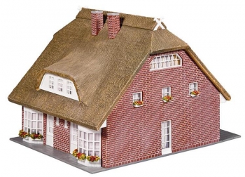 Maison à toit de roseaux - 130250