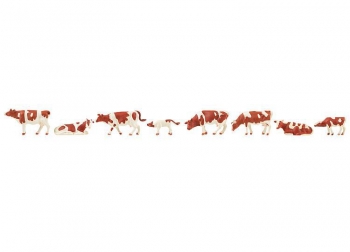 Vaches - 151903