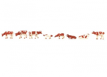 Troupeau de vaches - 155902