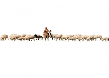 Berger et moutons - 158051