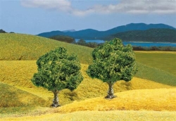 Platanes