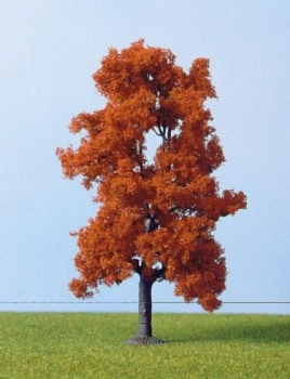 Tilleul en automne - 1701