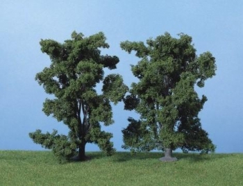 Sorbier sauvage - 1714