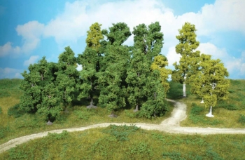 Assortiment de 10 arbres  - 1950