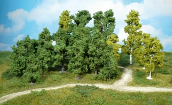 Arbres feuillus de 9-18 cm - 1952