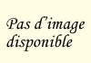 Voiture panoramique