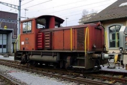 Tm IV No 9661, brun