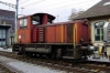Tm IV No 9661, brun
