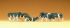 Vaches