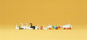 Oies, canards, cygnes - 14167