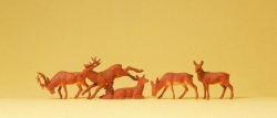 Cerfs et biches