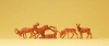 Cerfs et biches