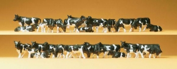 Vaches noires et blanches - 14408