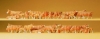 Vaches brunes