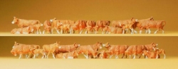 Vaches brunes