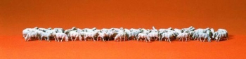 Troupeau de moutons - 14411