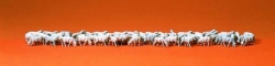 Troupeau de moutons