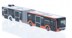 Lion's City "TPG Geneve"