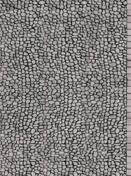 Paves